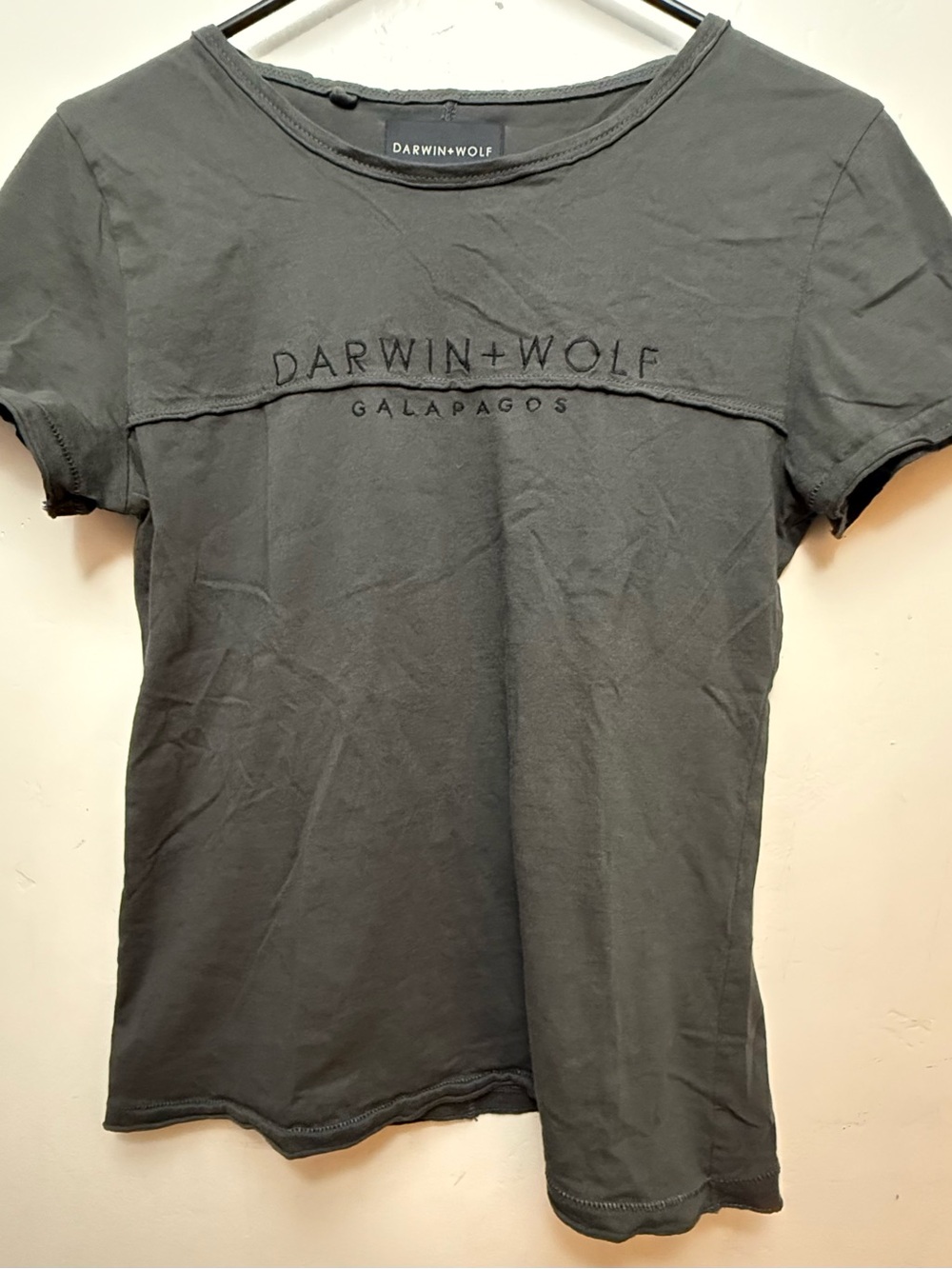Darwin + Wolf Galapagos Embroidered Tee - Charcoal Gray